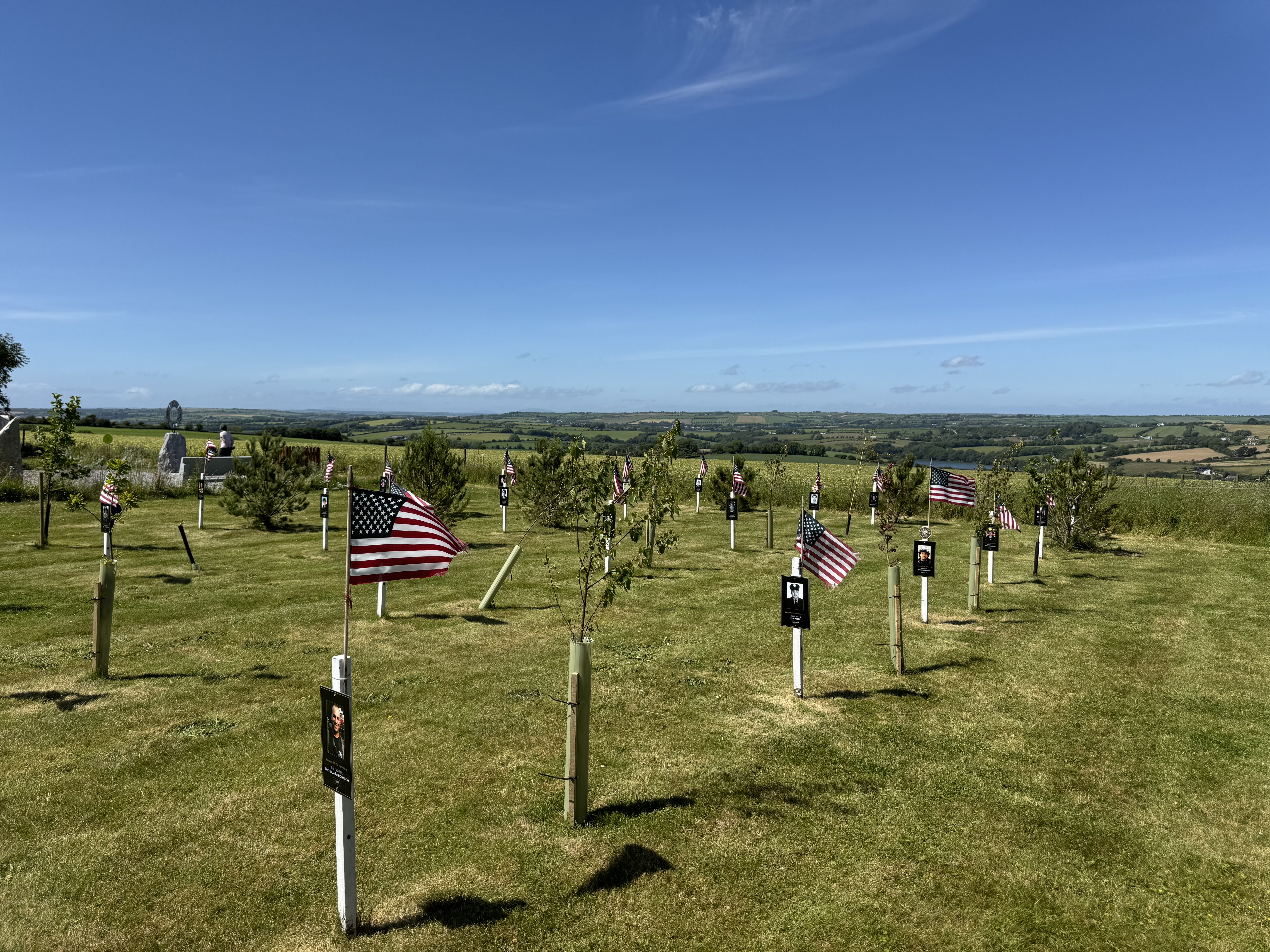 Memorial trees and American flags pictured in the Wall of Gratitude project